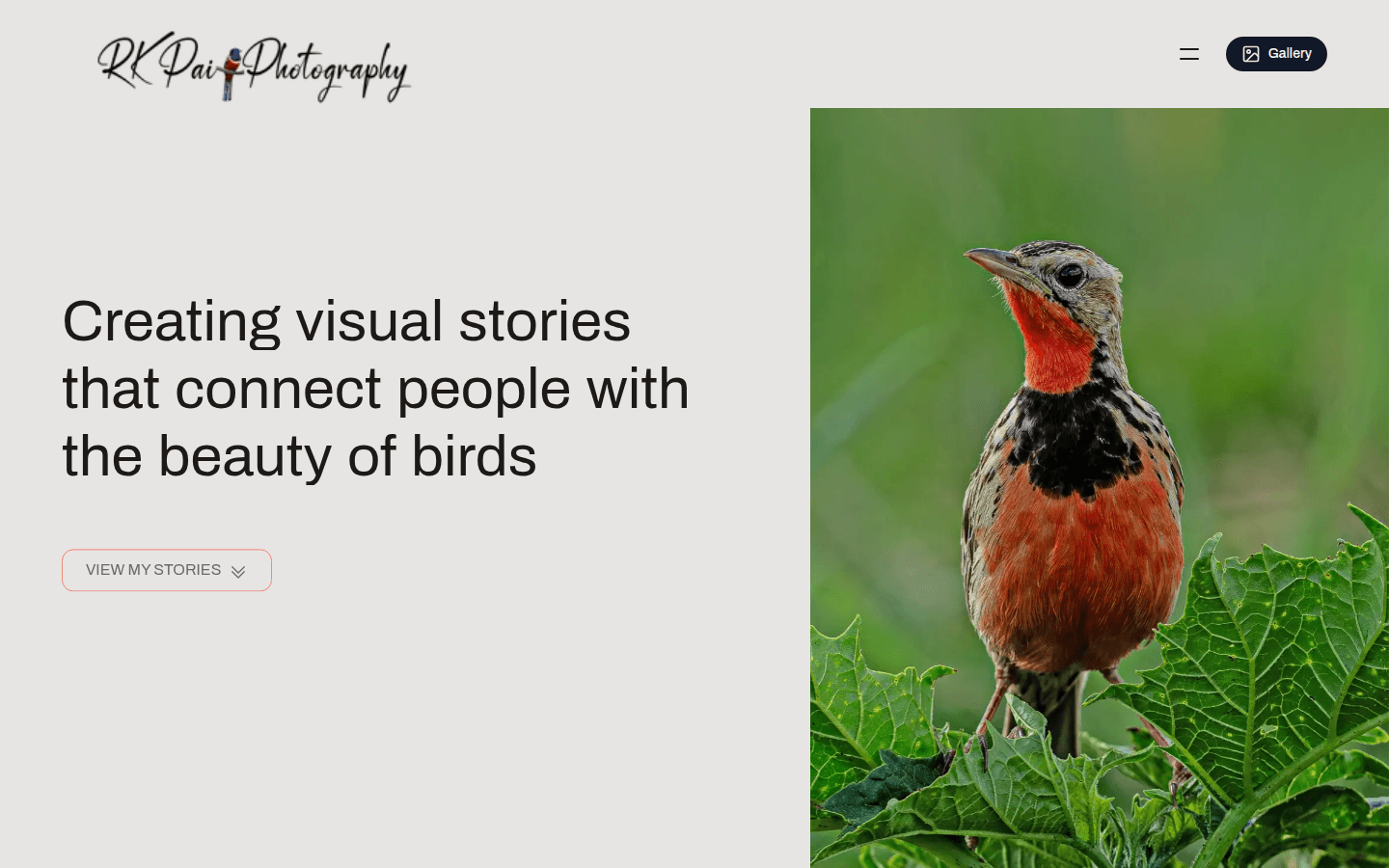 RK Pai Photography homepage with a bird portrait and editorial introduction